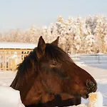 Jaenkae Semesteranläggning (resort) Äkäslompolo