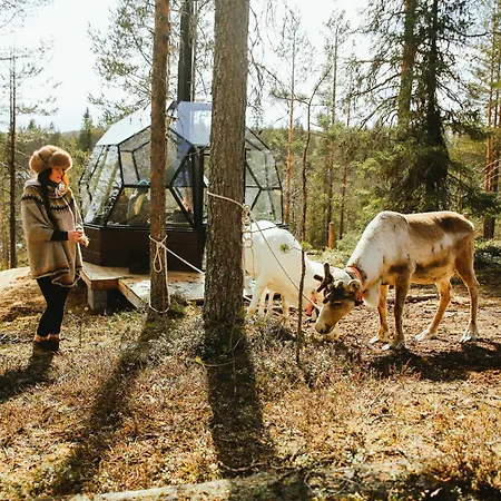 Semesteranläggning (resort) Jaenkae